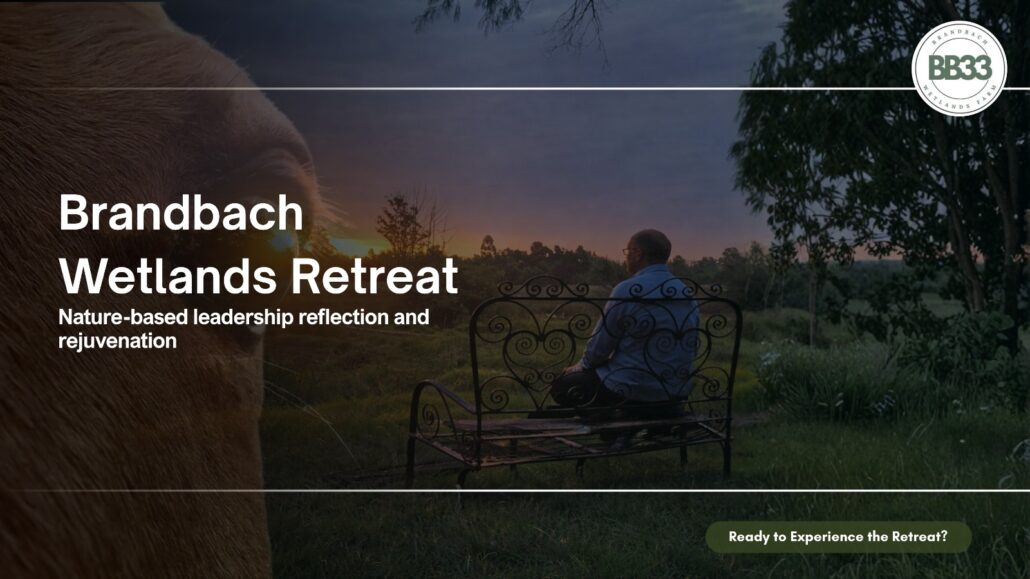 Brandbach Wetlands Retreat – Nature-based leadership reflection and rejuvenation at sunset