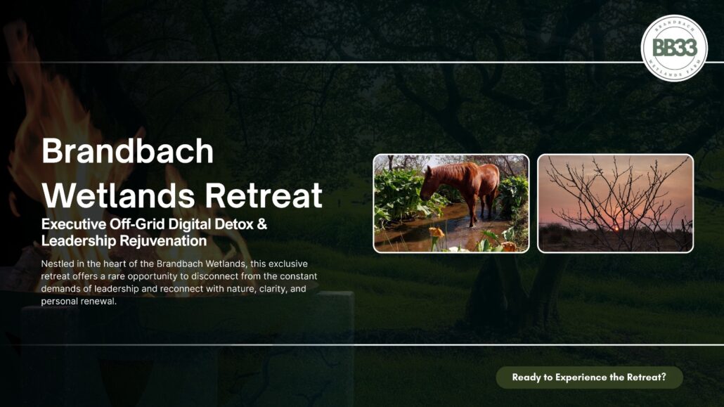 Brandbach Wetlands Retreat – Executive off-grid digital detox and leadership rejuvenation at sunset with wetland views